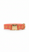 Paw Print Dog Collar — Coral & Gold